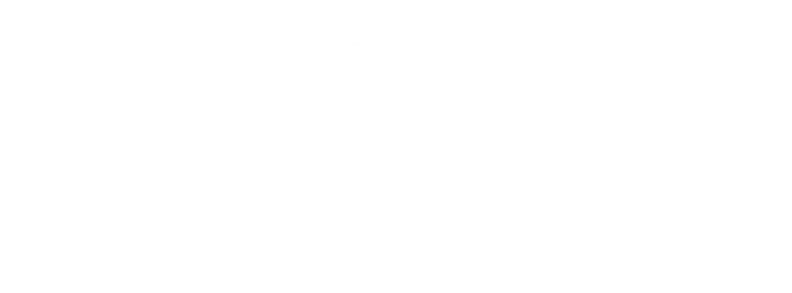 Animal Planet logo