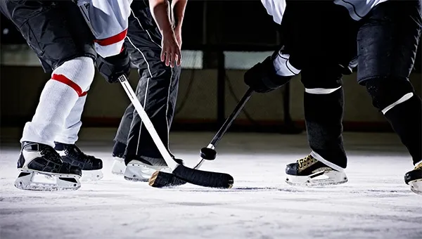 Professional hockey game, two skaters on the ice